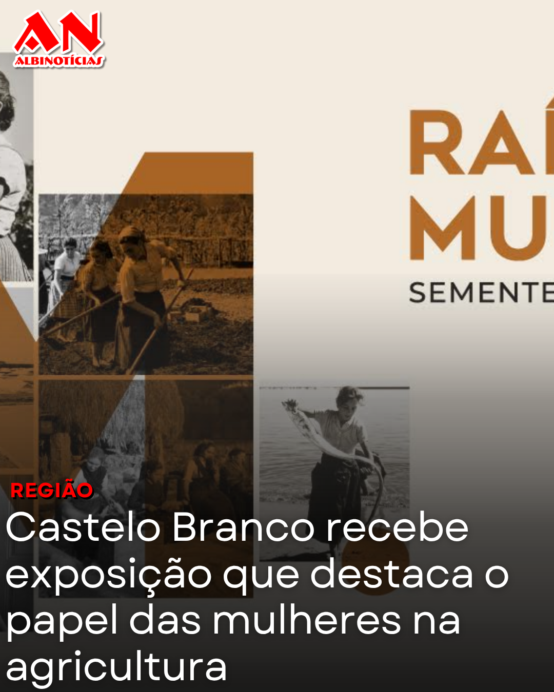Castelo Branco recebe exposição que destaca o papel das mulheres na agricultura