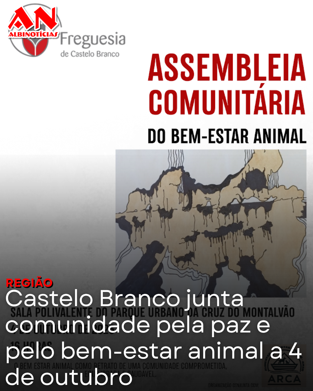 Castelo Branco junta comunidade pela paz e pelo bem-estar animal a 4 de outubro