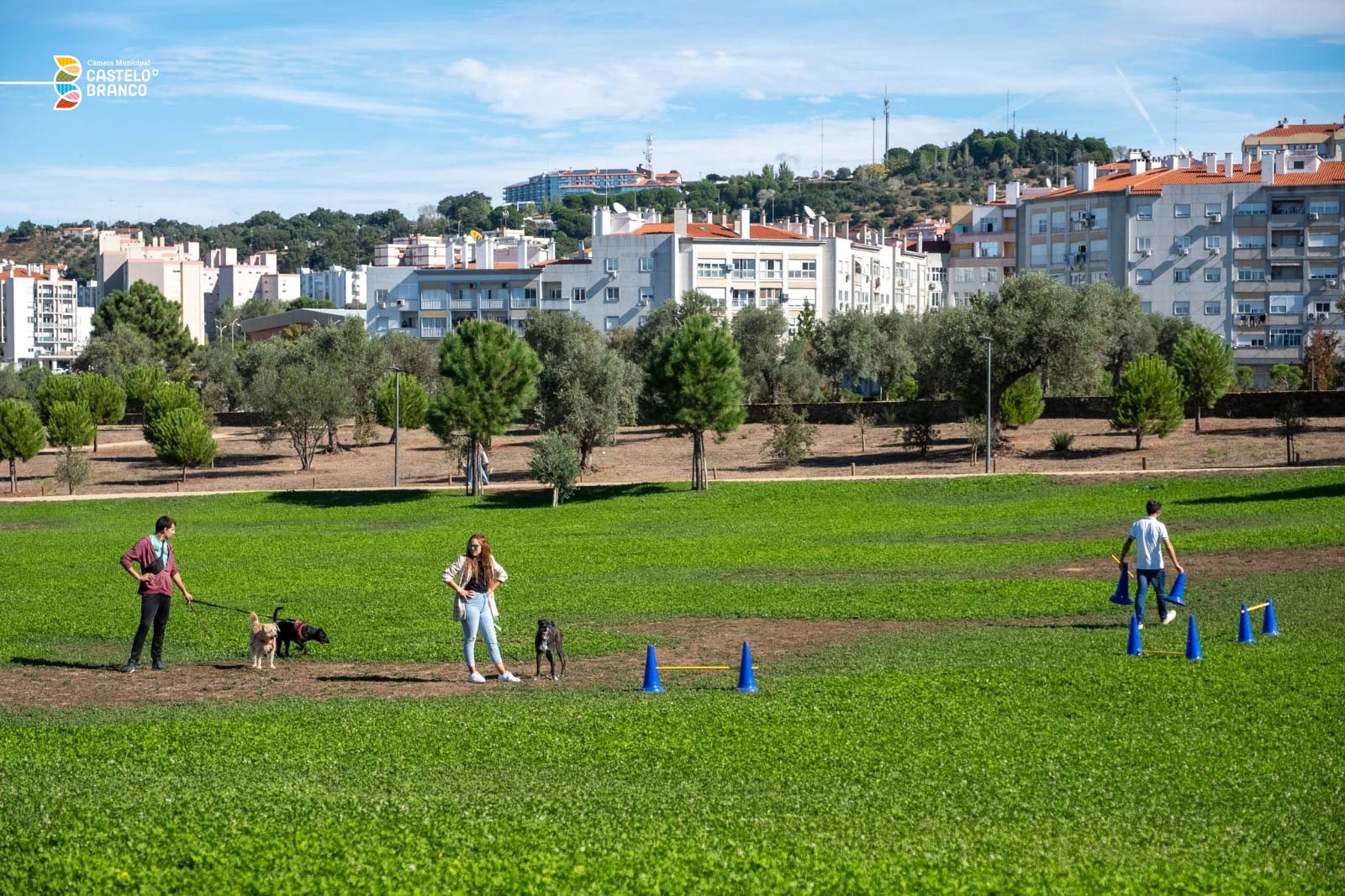 Castelo Branco dedica fim de semana ao bem-estar animal com o “Patas & Patudos”