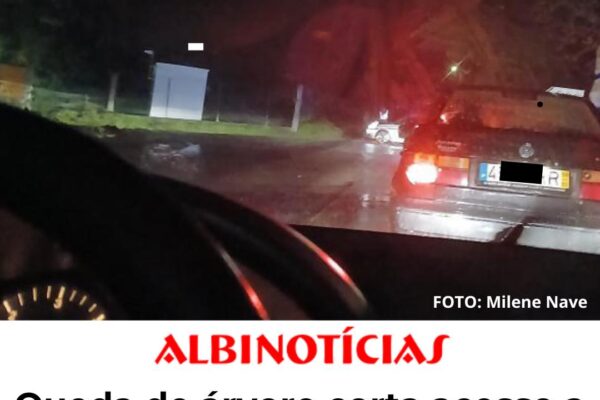 Queda de árvore corta acesso direto a Póvoa de Rio de Moinhos