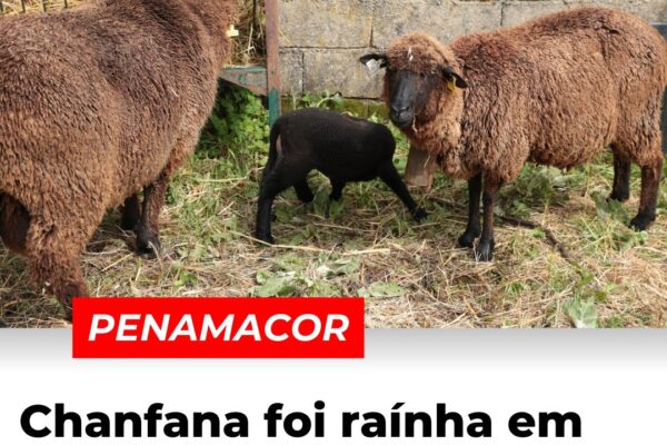 Penamacor: Chafana foi raínha em Meimão