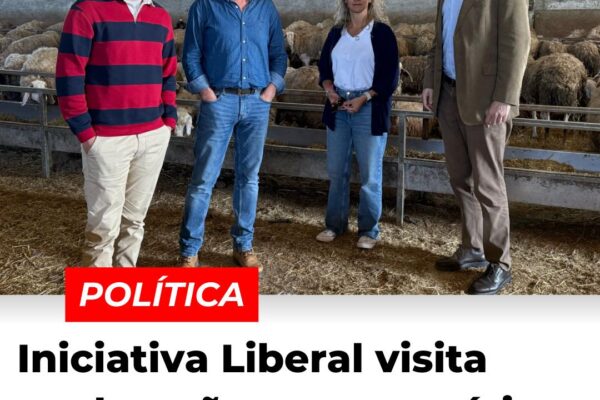 Política: Iniciativa Liberal visita exploração agropecuária em Alcains