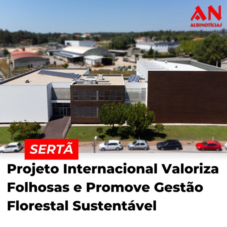 Sertã: Projeto Internacional Valoriza Folhosas e Promove Gestão Florestal Sustentável