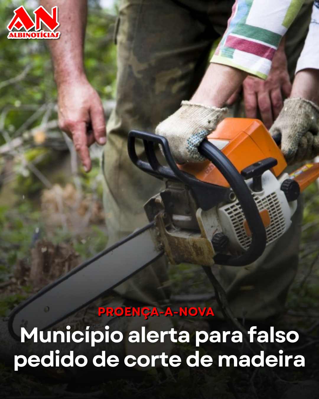 Município de Proença-a-Nova alerta para falso pedido de corte de madeira