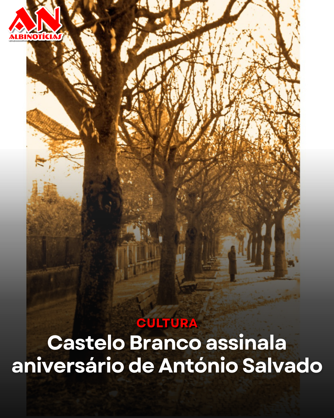 Castelo Branco assinala aniversário de António Salvado