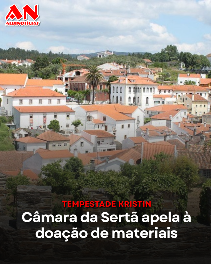 Câmara da Sertã apela à doação de materiais após estragos da tempestade Kristin