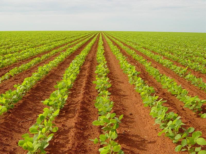 União das Freguesias de Vale de Prazeres e Mata da Rainha promove sessão sobre apoios à agricultura