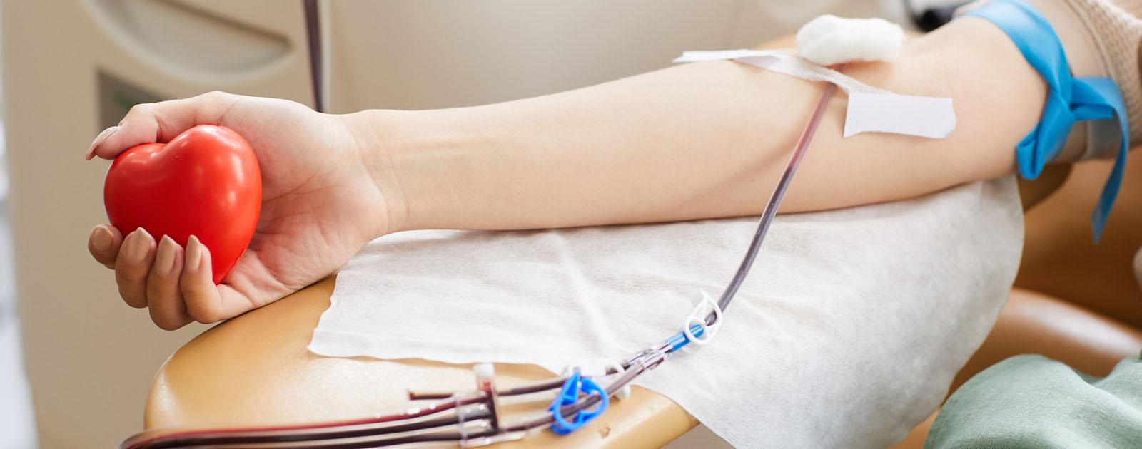 Colheita de Sangue na Sertã realiza-se quarta-feira