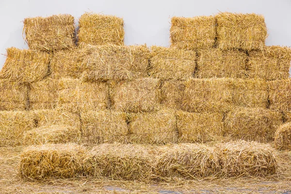 Empresa oferece camião de palha a produtores afetados