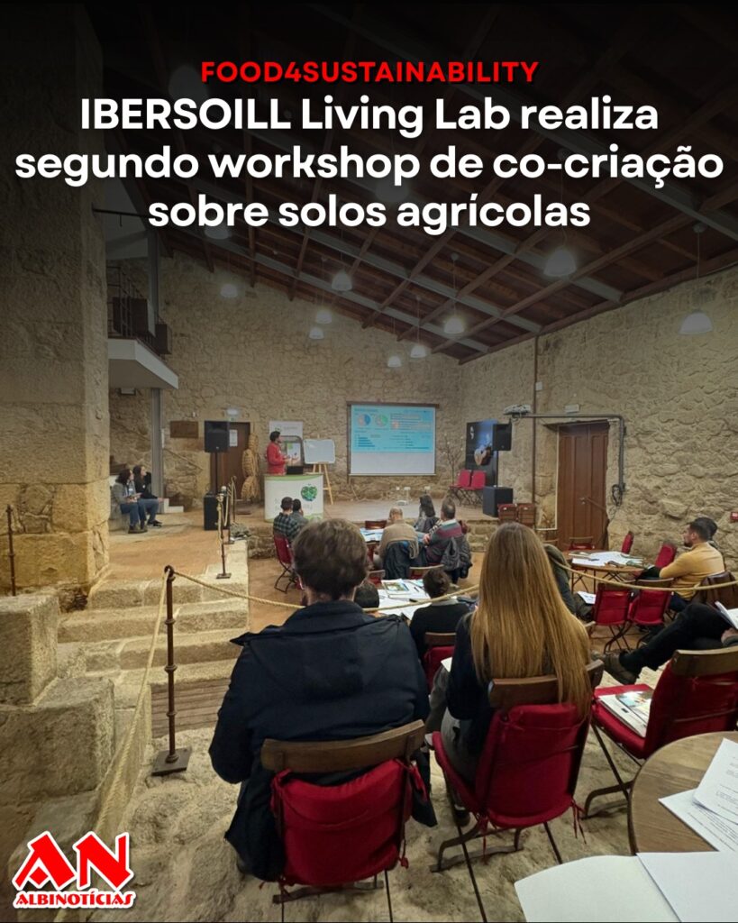 IBERSOILL Living Lab realiza segundo workshop de co-criação sobre solos agrícolas
