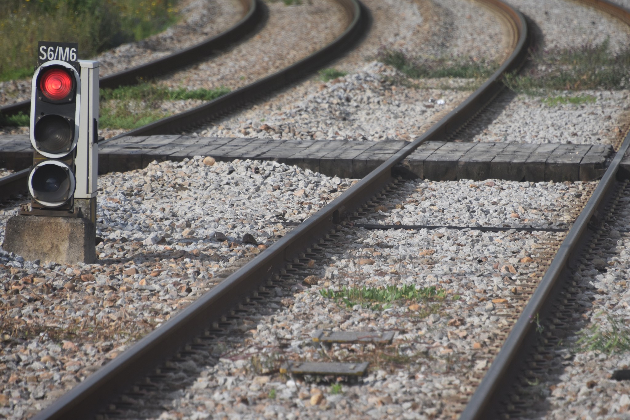 CIM da Beira Baixa pede prioridade na reposição da circulação na linha ferroviária