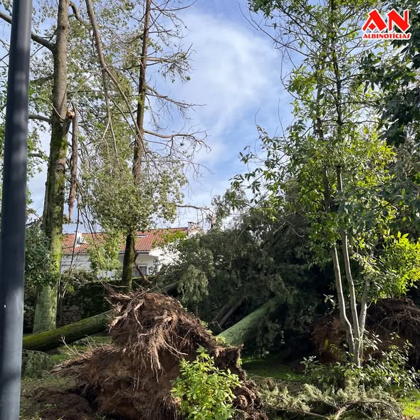 Mau tempo provoca 86 milhões de euros de prejuízos na Beira Baixa