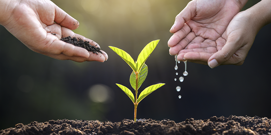 Food4Sustainability Academy promove ciclo de webinars sobre agricultura sustentável