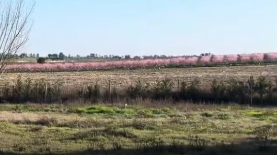 Quercus e população da Lardosa alertam para impactos na saúde pública