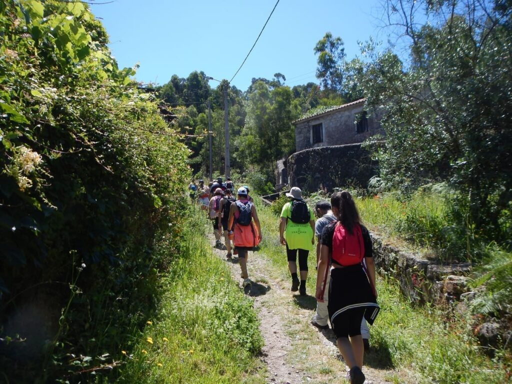 Rota das Fontes e do Azeite realiza-se no Ninho do Açor