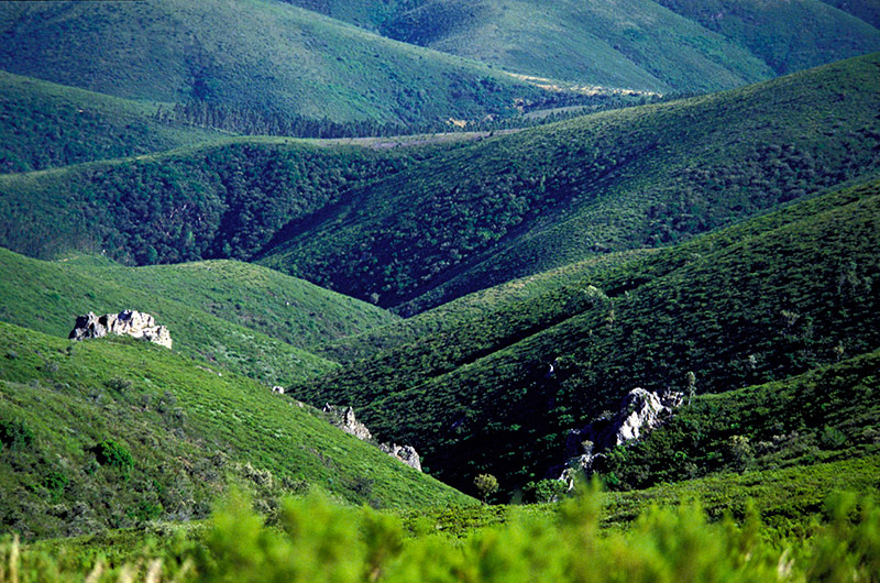 Festival Primavera na Serra da Malcata regressa no final de março