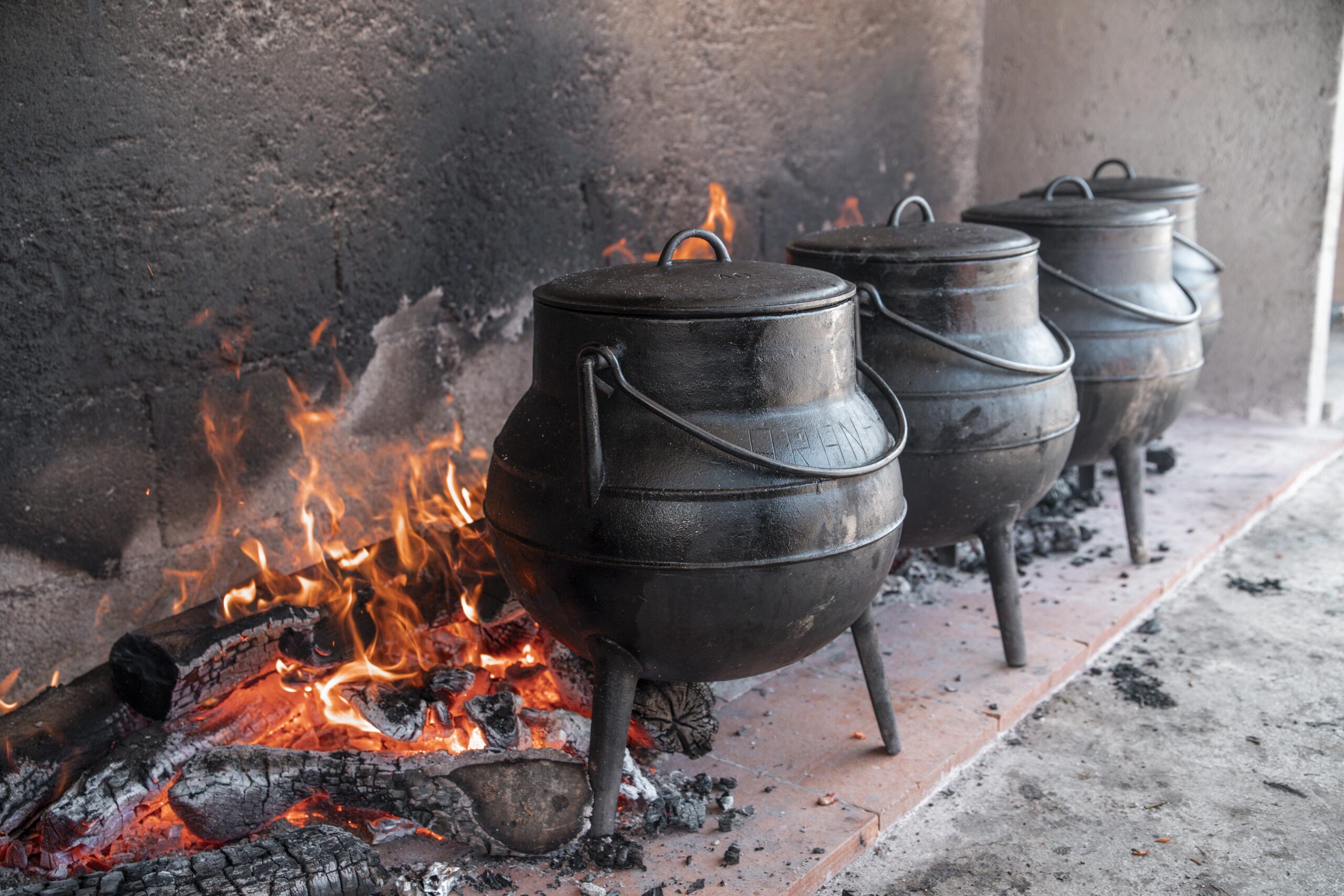 Festival da Chanfana regressa a Meimão com João Pedro Pais em destaque